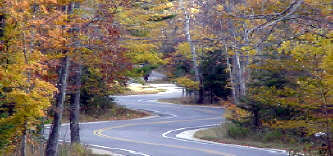 winding road through the woods